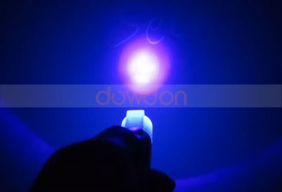 2-in-1 Falschgeld-Detektor-Stift, Banknotenprüfstift, UV-Schwarzlicht-Währungsdetektor